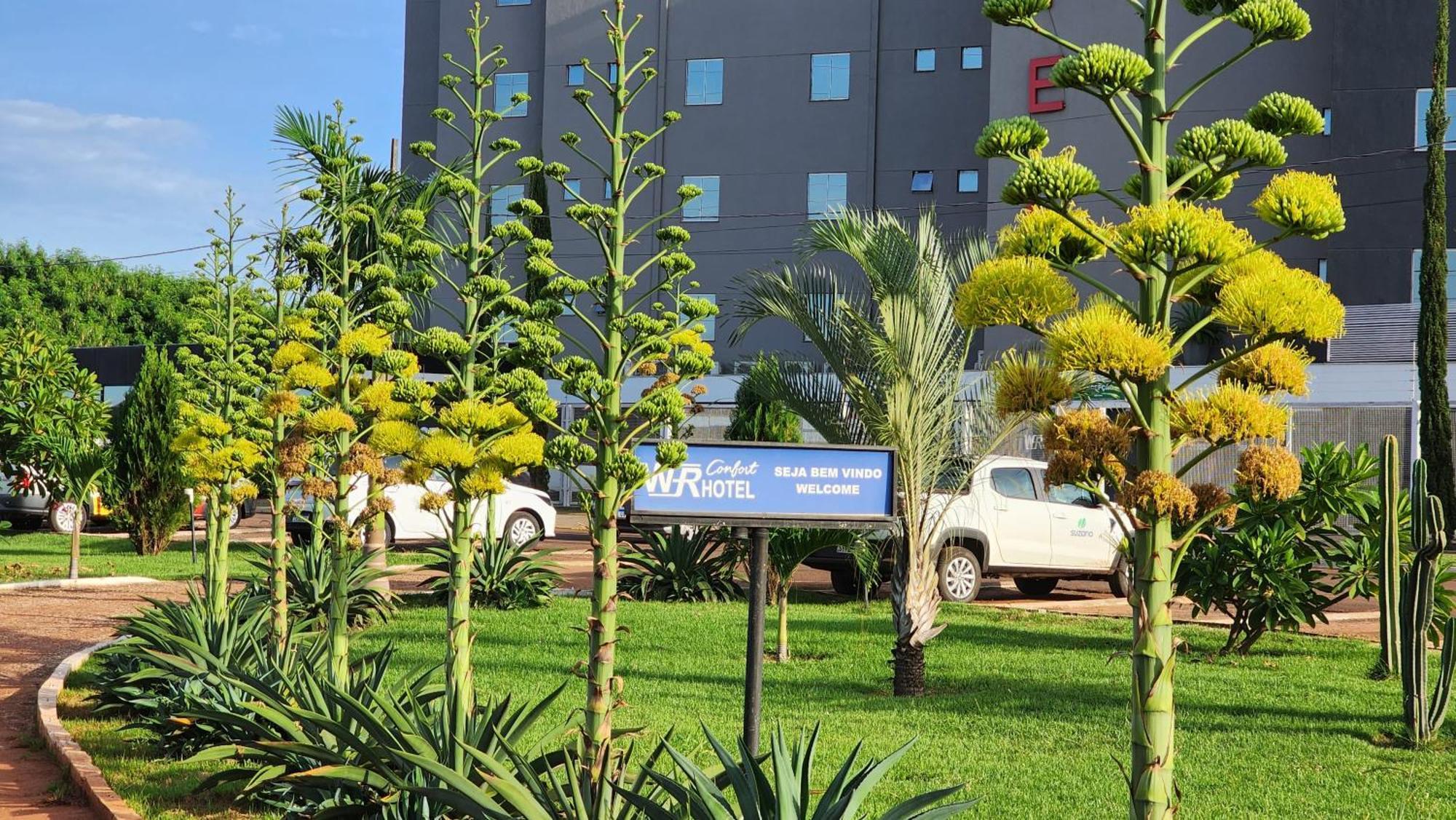 Wr Confort Hotel Campo Grande Luaran gambar